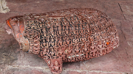 Ruin Sculpture of Vahara, the Form of Lord Vishnu, Kakuni Ganesh Temple, Baran, Rajasthan, India.