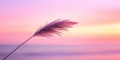 Schilderijen op glas Tranquil Twilight, A Silhouetted Grass Stem Bathed in Soft Pink and Purple Hues, Set Against the Calm Backdrop of a Sunset Sea. © AbGoni