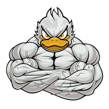 strong duck mascot vector art illustration muscle duck design