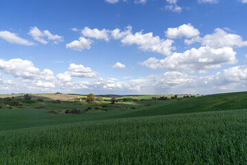 A Tuscan landscape in the north of Israel's Negev, in its advantages