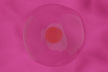 単一の動物細胞のイメージ
