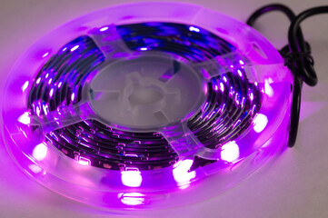 Coil of purple light emitting diodes on a white background.