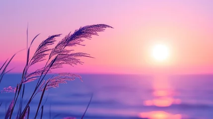 Poster Tranquil Twilight, A Silhouetted Grass Stem Bathed in Soft Pink and Purple Hues, Set Against the Calm Backdrop of a Sunset Sea. © AbGoni