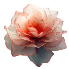 Flower-Realistic-0.png
