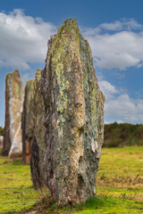 A menhir from the megalithic site of Saint-Just in Brittany