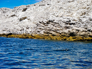 海に浮かぶ岩山・岩島（南アフリカ）