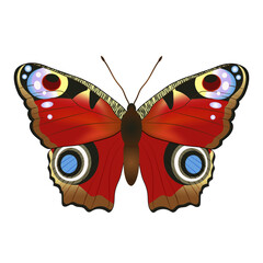 Variegated butterfly, suitable for sticker or icon. Detailed vector illustration. - 729869477