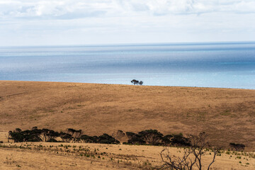 Vast landscape on Kangaroo Island