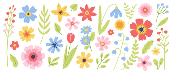 Set of flowers and floral elements. Vector flat illustration for greeting card or invitation design.