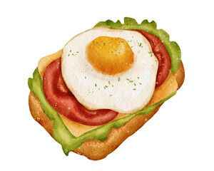 Watercolor egg toast hand drawn