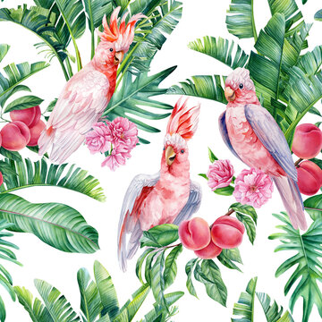 Pink cockatoo bird Seamless pattern Palm leaves, watercolor botanical painting Jungle leaf, fruit peach. Tropic wildlife