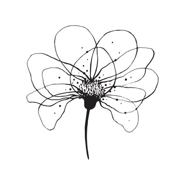 recommend clip art: Transparent flower black white line outline