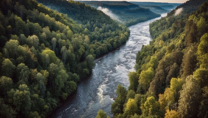 A picturesque view of a mountain river flowing through a dense taiga forest. Natural beauties of planet Earth. Lungs of the Planet