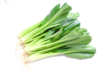 冬場が旬の緑黄色野菜で、ビタミン、鉄分、カルシウムが豊富な小松菜
