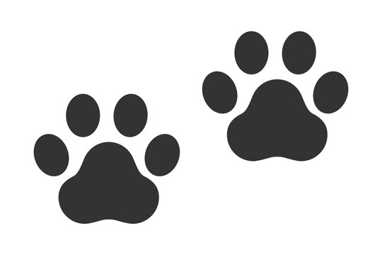 Paw. Trace of animal. Pawprint of cat, dog, mink, lion, tiger, bear. Vector black icon illustration on a white background.