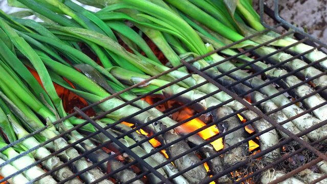 Close up grilled onions, traditional "cal&ccedil;ots" Catalunya.
