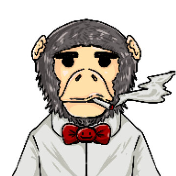 Pixel monkey