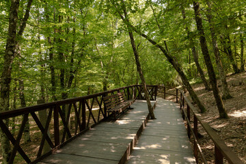 Wooden flooring with handrails for safety on an ecological trail in a summer mountain forest with sunbeams. Travel concept.