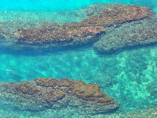 Clear blue sea with coastal rocks covered with algae.