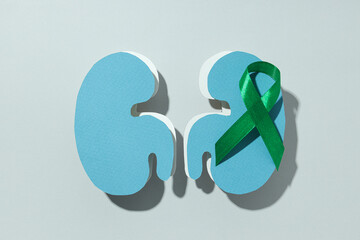 Kidneys on a light background, for National Kidney Month.