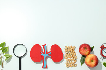 Kidneys on a light background, for National Kidney Month.