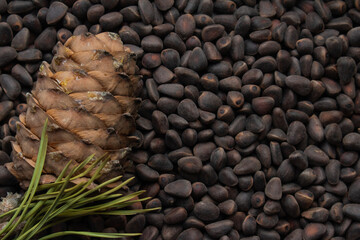 Unshelled pine nuts are scattered on the surface, nearby are cedar cones with frozen resin on them,...