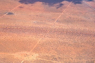 sparse vegetation on red sand in Kalahari desert, north of Leonardville, Namibia