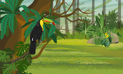 Keel-billed toucan sits on a branch of a tropical tree. Realistic vector landscape.