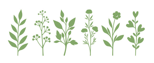 Botanical set. Floral silhouettes. Plant collection