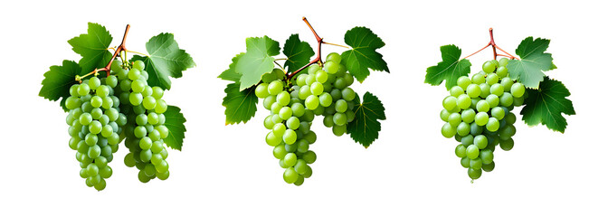 set of  green grapes isolated on white transparent background,Generative ai