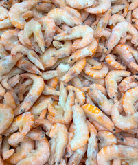 Shrimp on the counter in the market