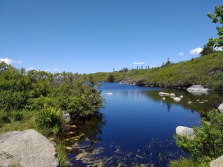 calm lake surrounded by beautiful nature
