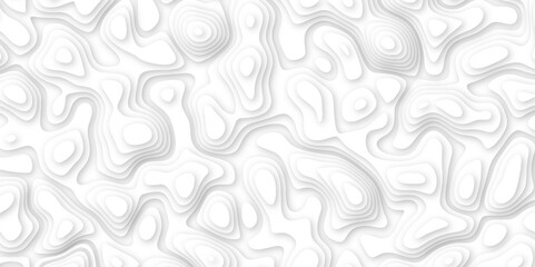  3d render, abstract white paper background. Paper cut vector art background banner texture. multi layer cutout geometric pattern on vector, Abstract soft white background with waves.