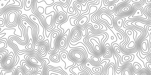 abstract white wave paper curved reliefs background. Topography map pattern, Geographic curved, vector illustration. seamless textrue, vintage waves. Panorama view multicolor wave curve line.