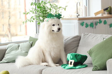Cute Samoyed dog with novelty headband and leprechaun's hat at home. St. Patrick's Day celebration