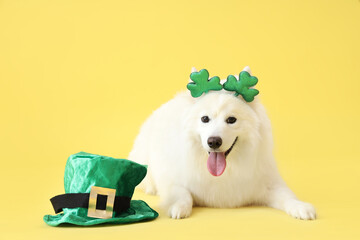 Cute Samoyed dog with leprechaun's hat and novelty headband on yellow background. St. Patrick's Day...