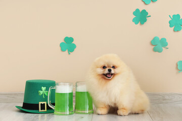 Cute Pomeranian dog with leprechaun's hat, beer and clovers on beige background. St. Patrick's Day...