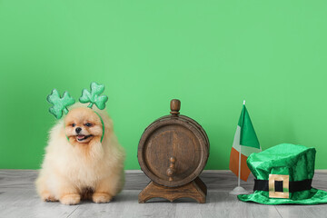 Cute Pomeranian dog with leprechaun's hat, Irish flag and barrel on green background. St. Patrick's...