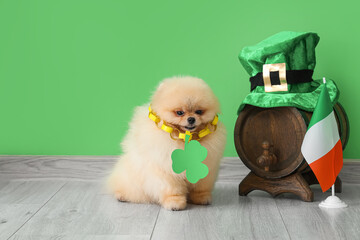 Cute Pomeranian dog with leprechaun's hat, Irish flag and barrel on green background. St. Patrick's...
