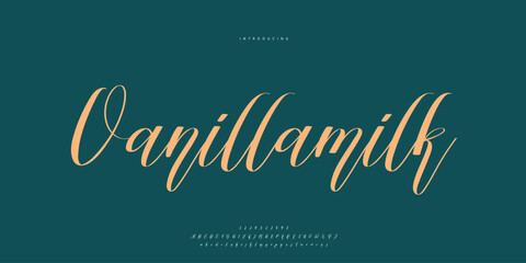 signature Font Calligraphy Logotype Script Brush Font Type Font lettering handwritten	
