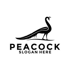 Fototapeta premium Luxurious Peacock bird logo icon, Peacock logo vector design template