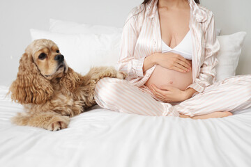 Young pregnant woman with cute cocker spaniel sitting in bedroom