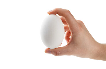 Young woman's hand holding a big goose or duck egg isolated on white background - 729918276