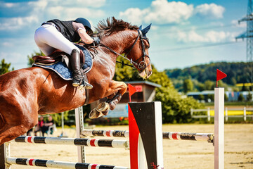 Horse close-up show jumping competition. - obrazy, fototapety, plakaty