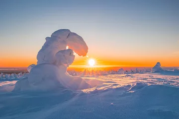 Foto op Aluminium Beautiful winter landscape at sunset. Lapland © Artem