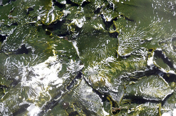 地底からふつふつと湧き出る源泉。まるで地球の奥底を覗いているような不思議な気持ちになった。地獄絵のような光景だ。うめき声が聞こえてくる。混沌とした世の中、地球温暖化という重大な危機を迎え、この母なる地球が、今、悲鳴を上げている。私たちは何をなすべきか、できることは何か。