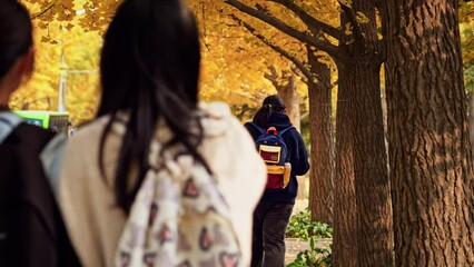 A group of happy college students walk in the campus