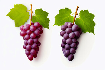 Two bunches of grapes with green leaves on them, one is red.