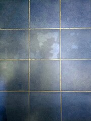 The blue bathroom tile floor has dirty stains.