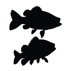 fish on a black background